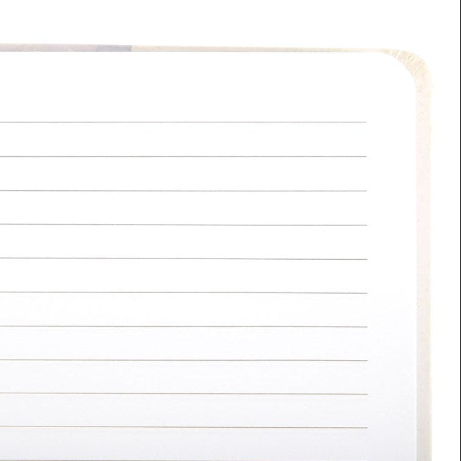 Plain sheet of paper with horizontal lines on a white background