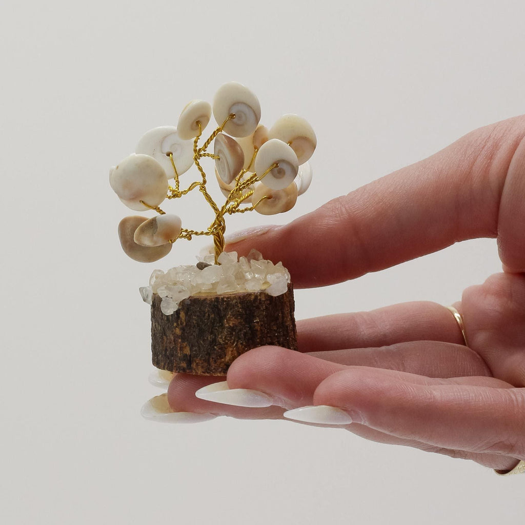 Hand holding a small tree made of shells and crystals on a plain background