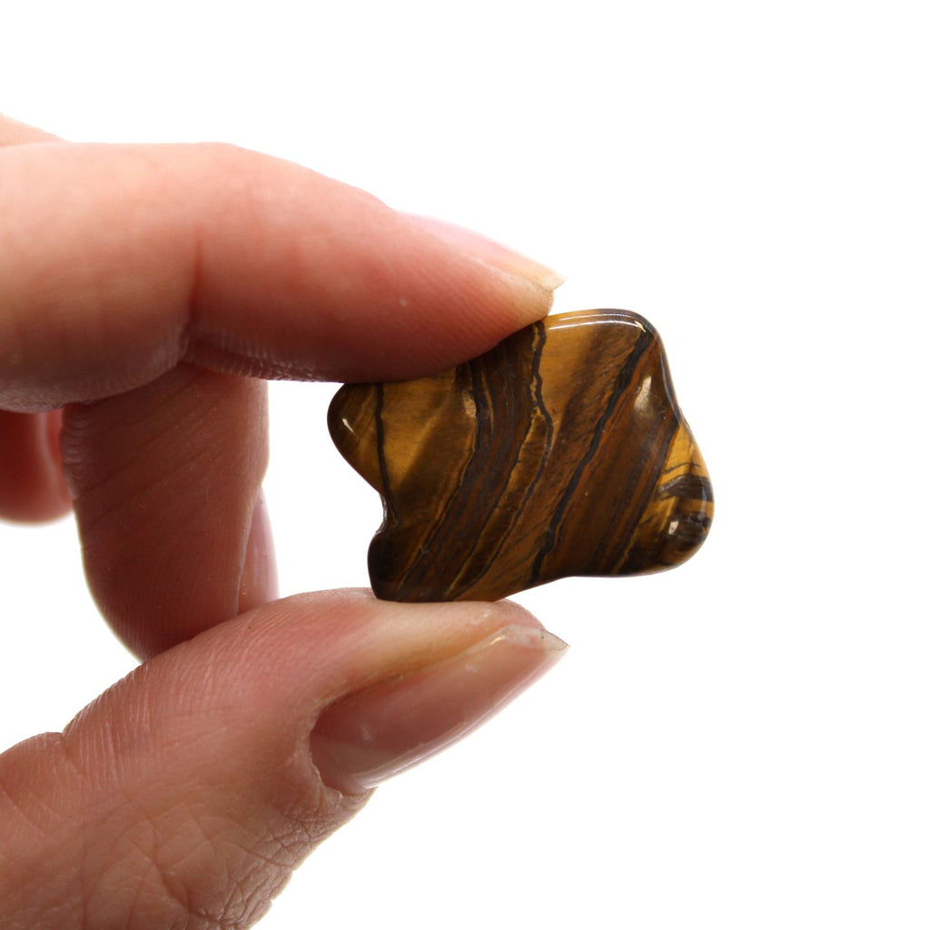 Hand holding a tiger's eye stone against a white background