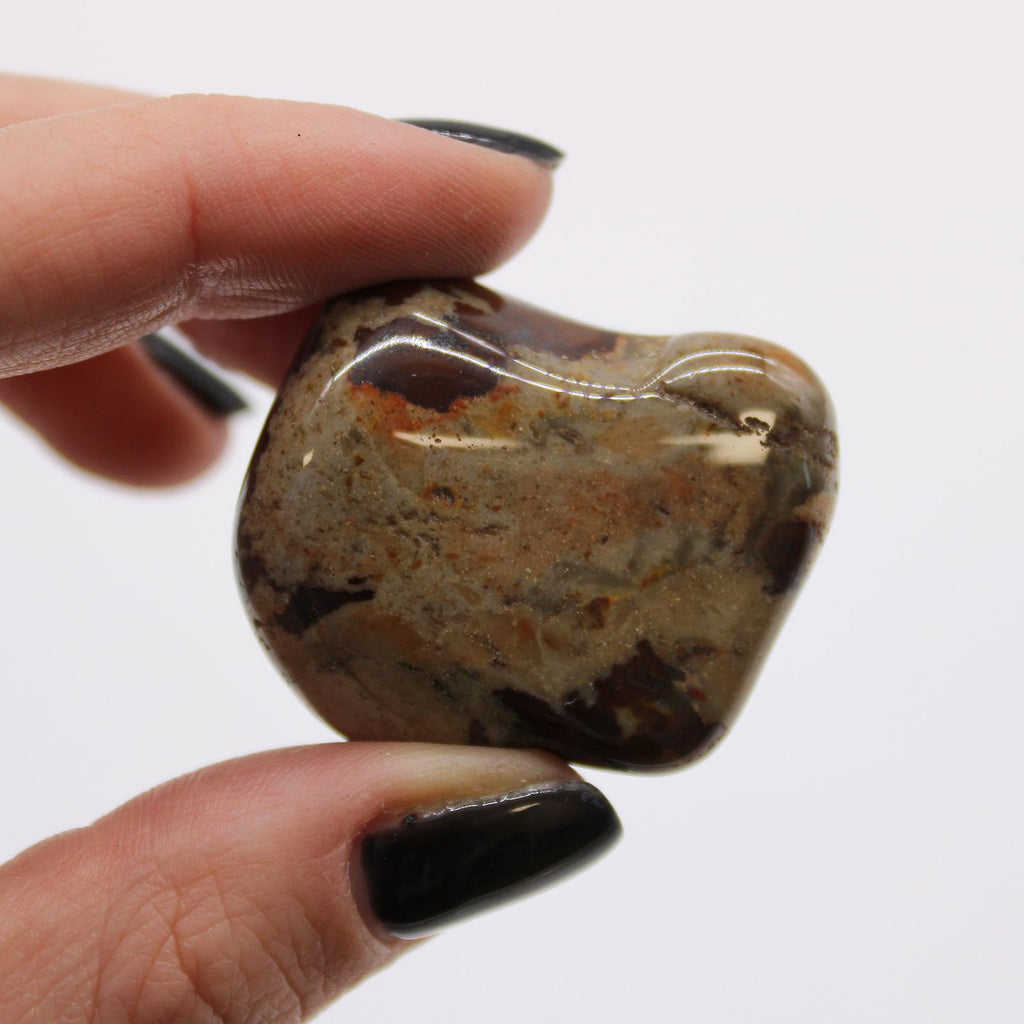Hand holding a polished stone against a white background