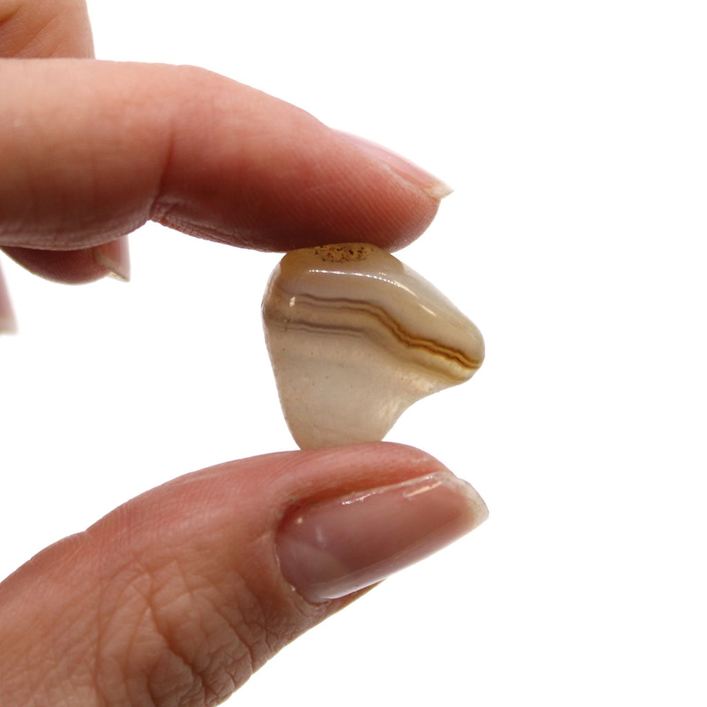 Hand holding a small stone with visible patterns against a white background