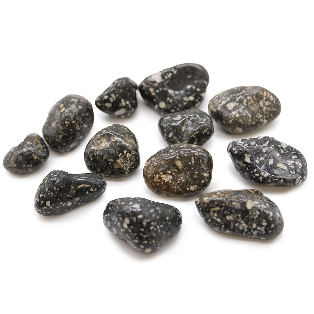 Collection of black and white speckled stones on a white background