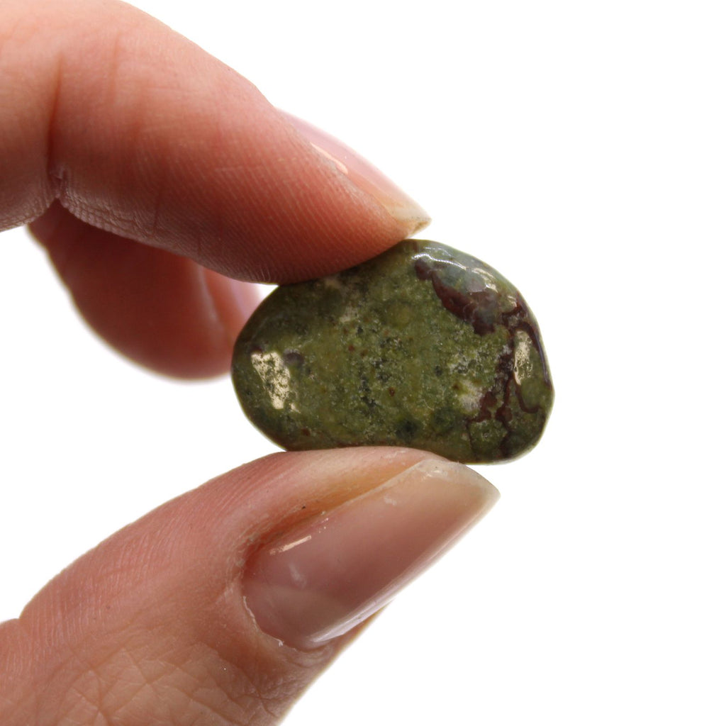 Hand holding a greenish-brown stone against a white background