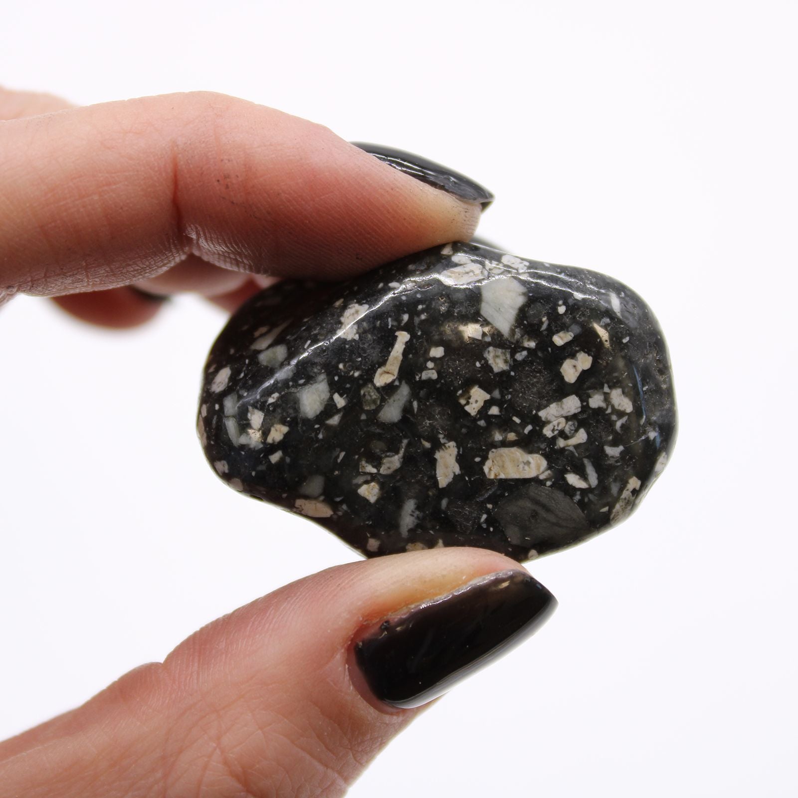 Hand holding a black and white speckled stone against a white background