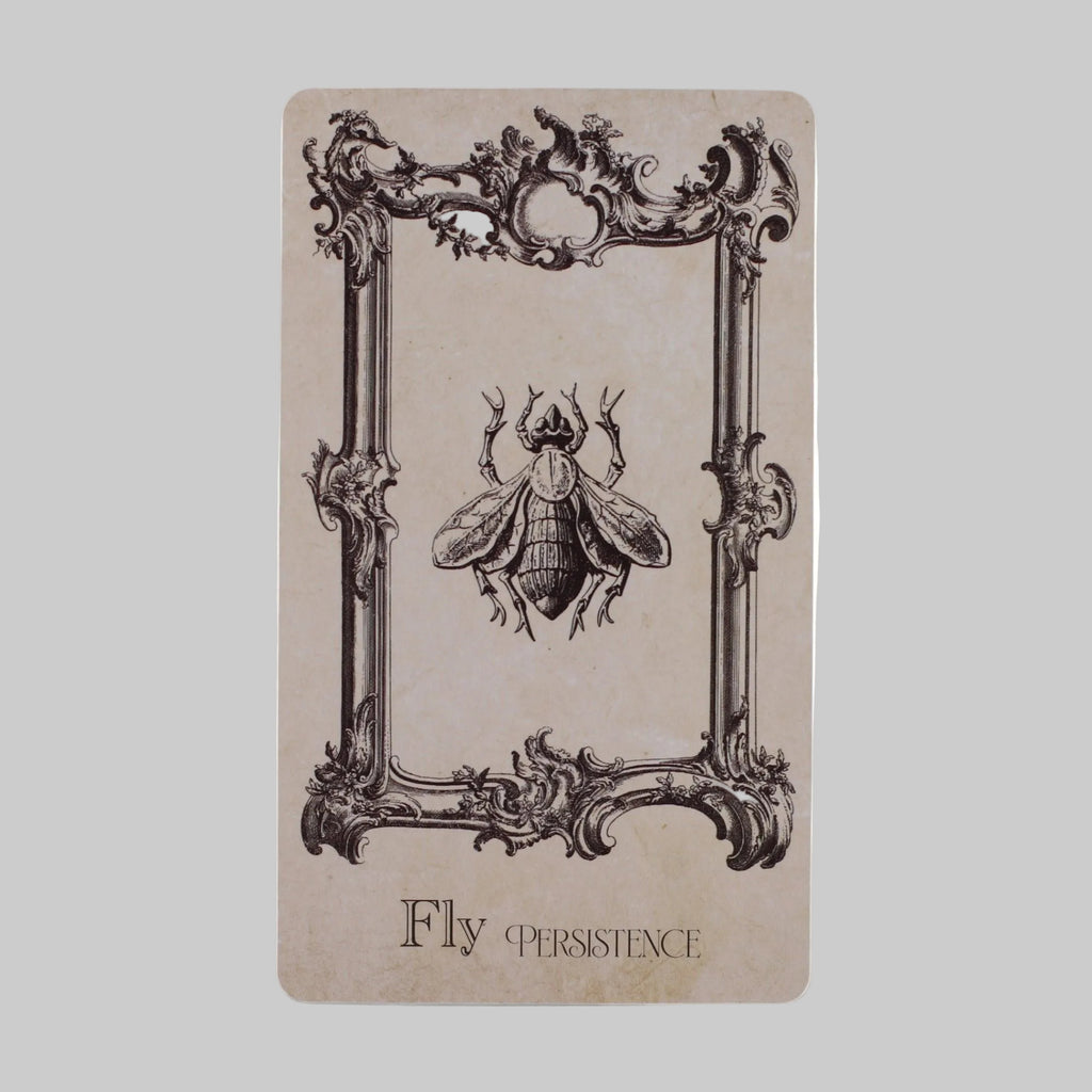 Notebook with a fly illustration and 'Fly Persistence' text on a beige background
