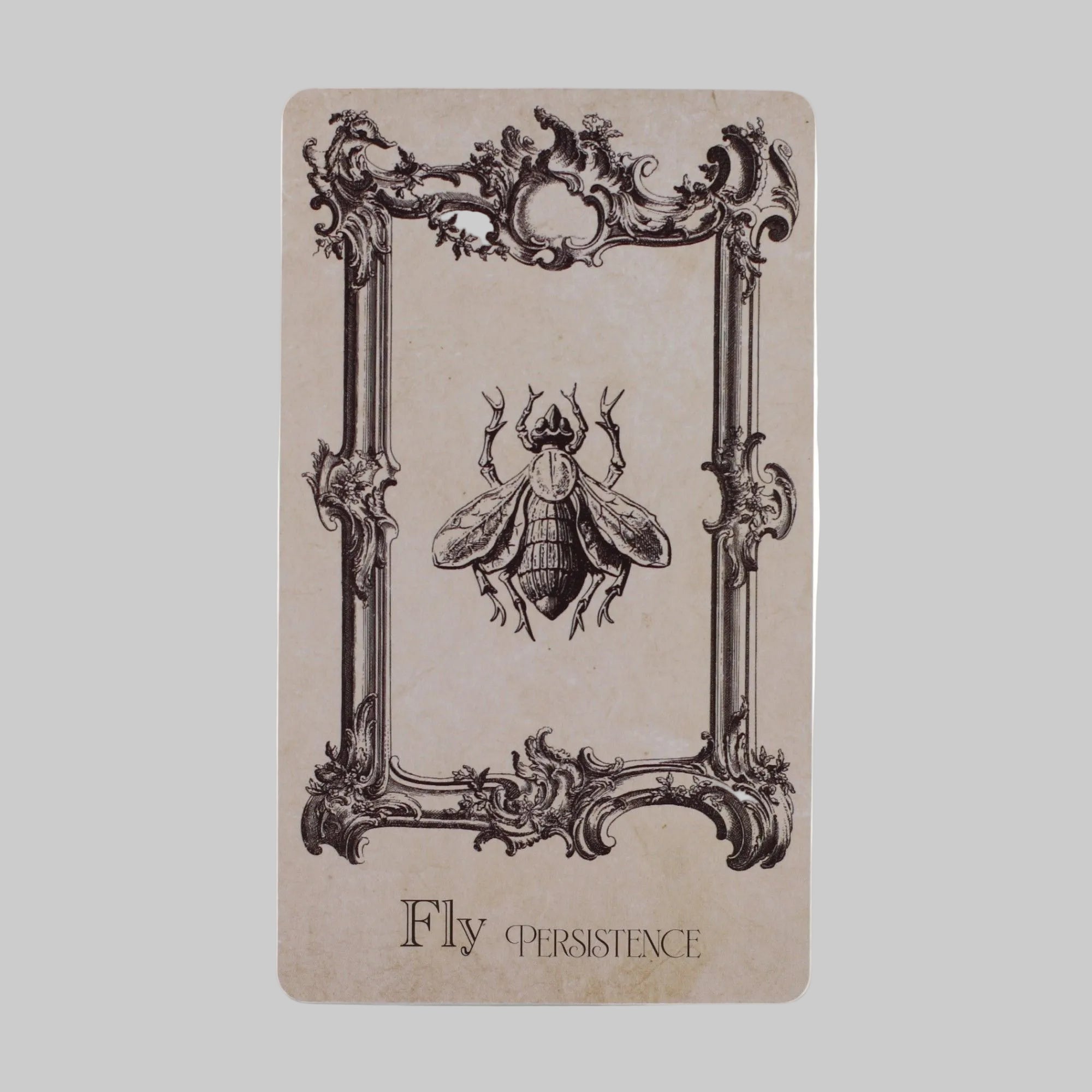 Notebook with a fly illustration and 'Fly Persistence' text on a beige background