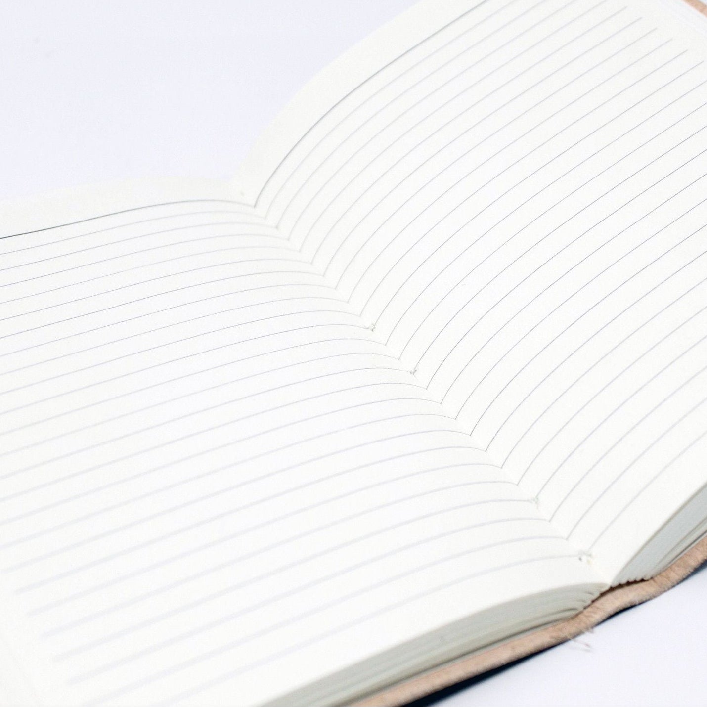 Close-up of a notebook with lined pages on a white background