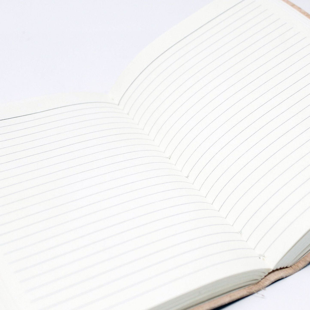 Close-up of a notebook with lined pages on a white background