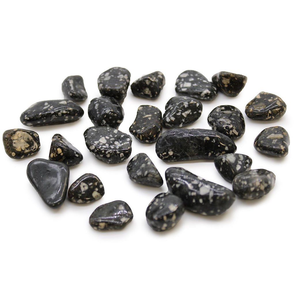 Collection of black stones with white speckles on a white background
