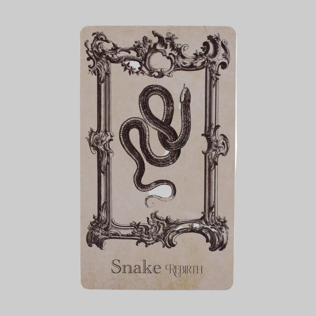 Card with a snake illustration and decorative frame on a beige background