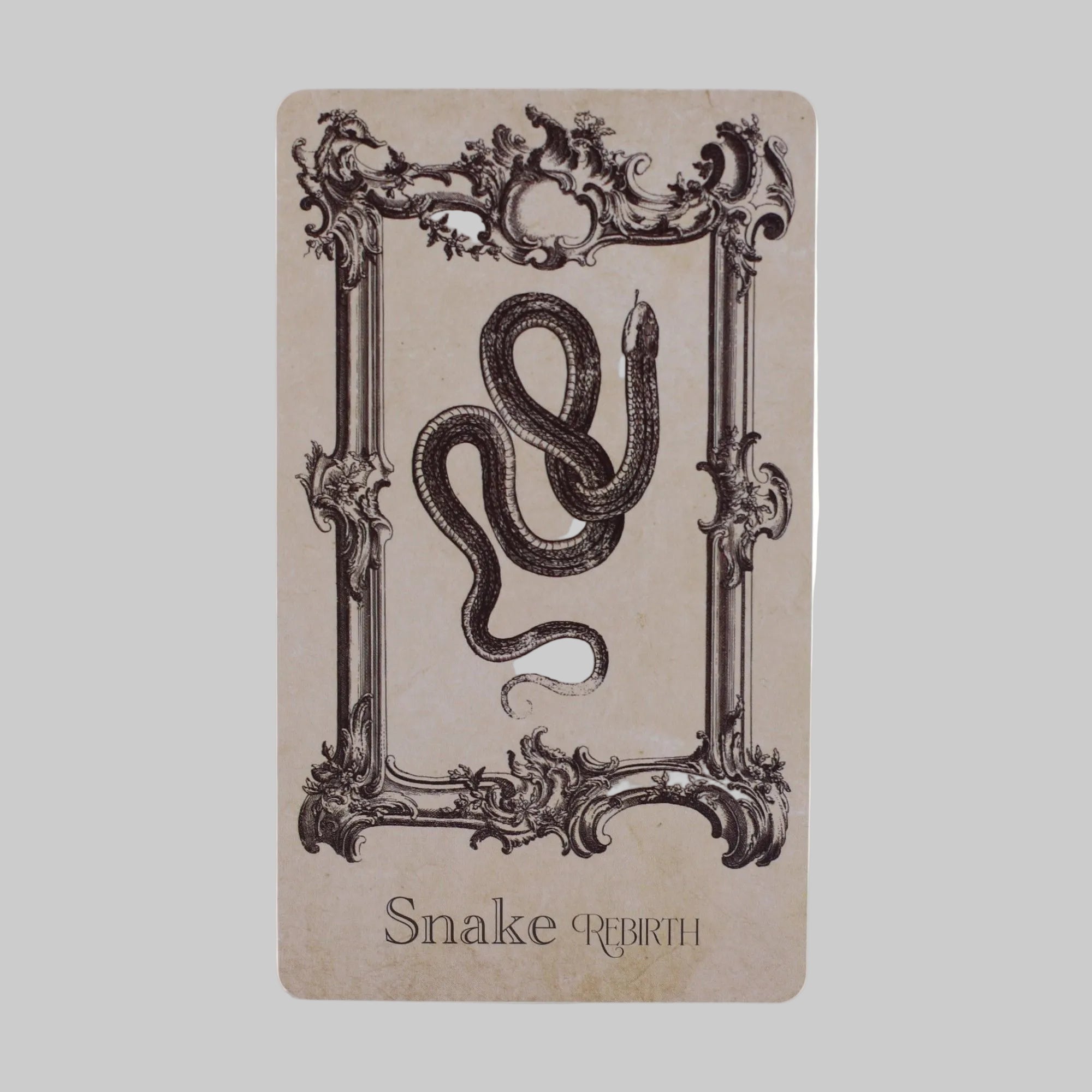 Card with a snake illustration and decorative frame on a beige background