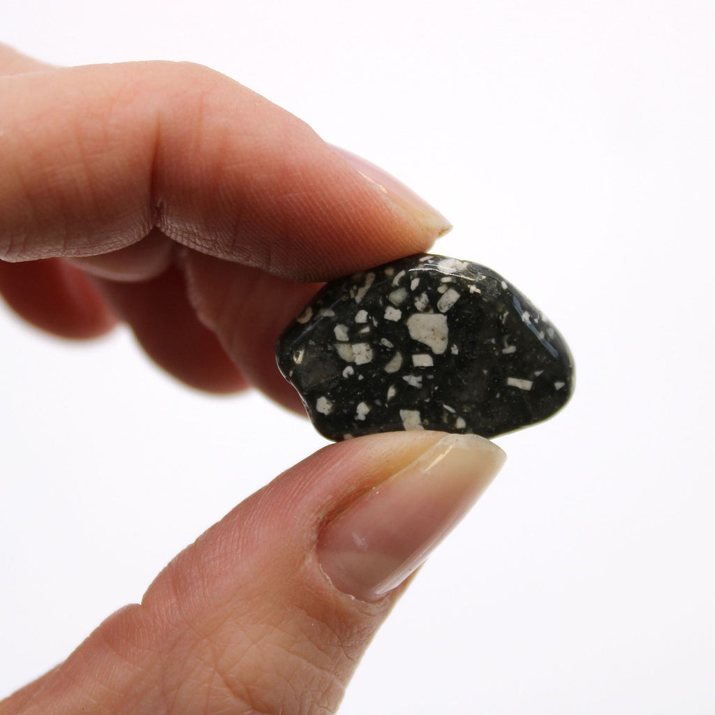 Hand holding a black and white speckled stone against a white background