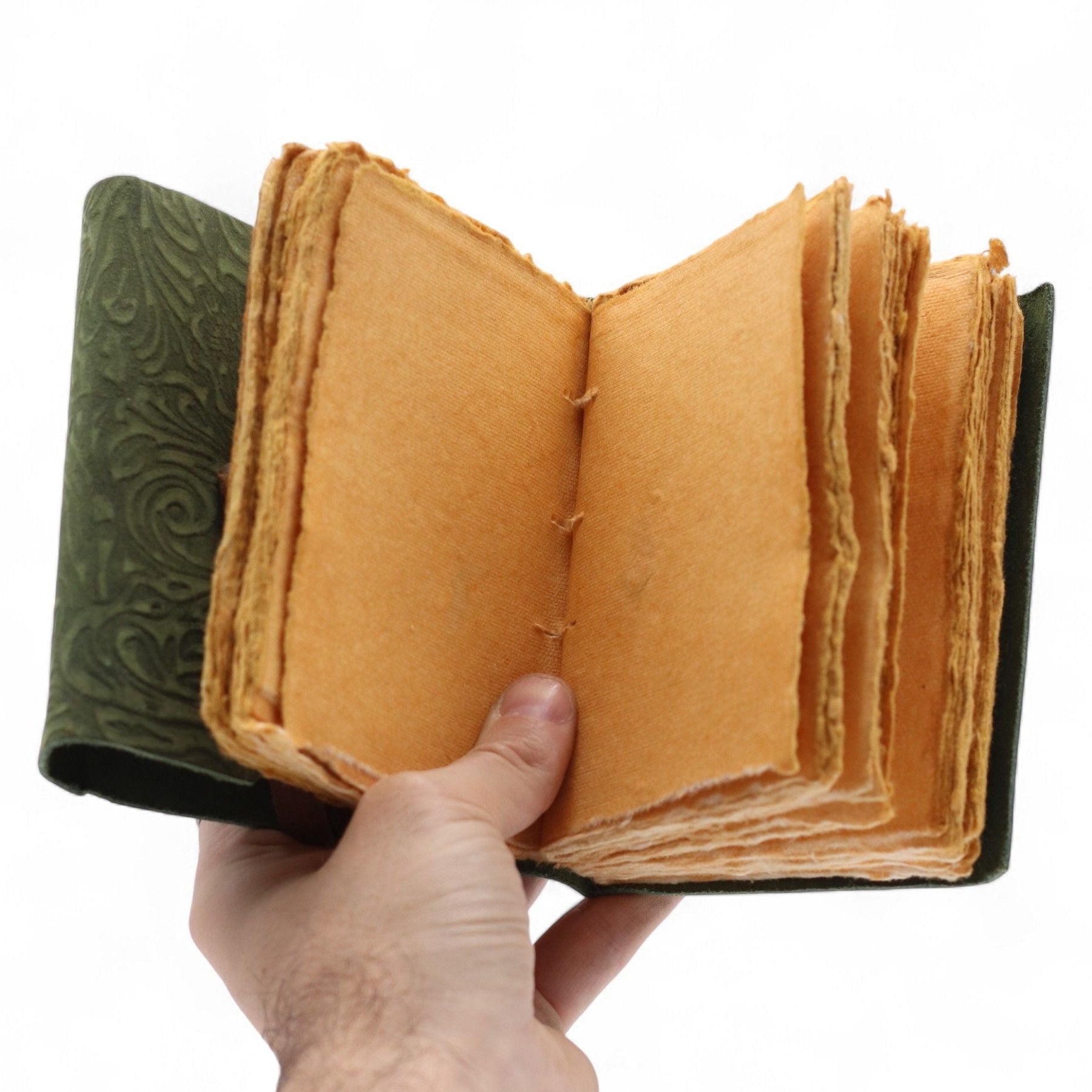 Hand holding a leather-bound book with a white background
