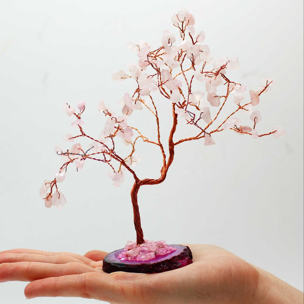 Small cherry blossom tree on a rock held in a hand against a white background