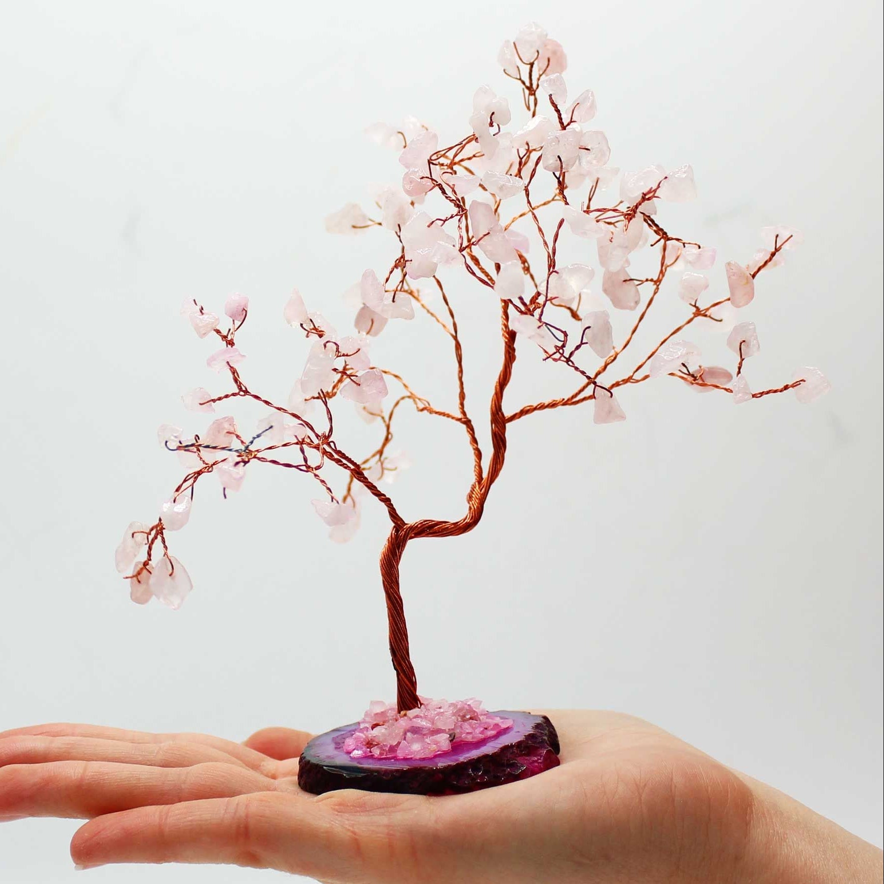 Small cherry blossom tree on a rock held in a hand against a white background