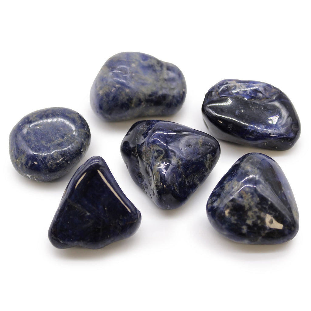 Seven polished sodalite stones on a white background