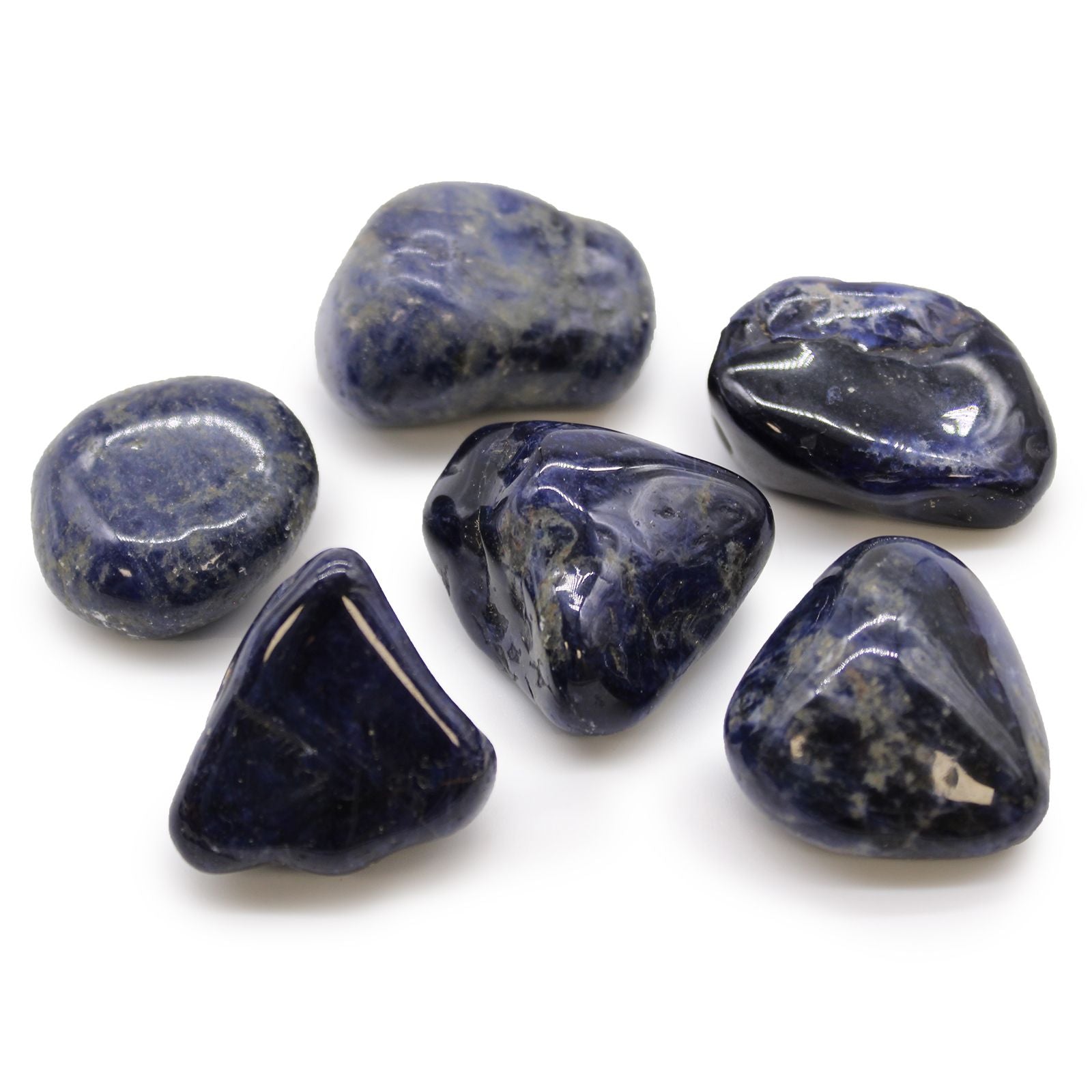 Seven polished sodalite stones on a white background