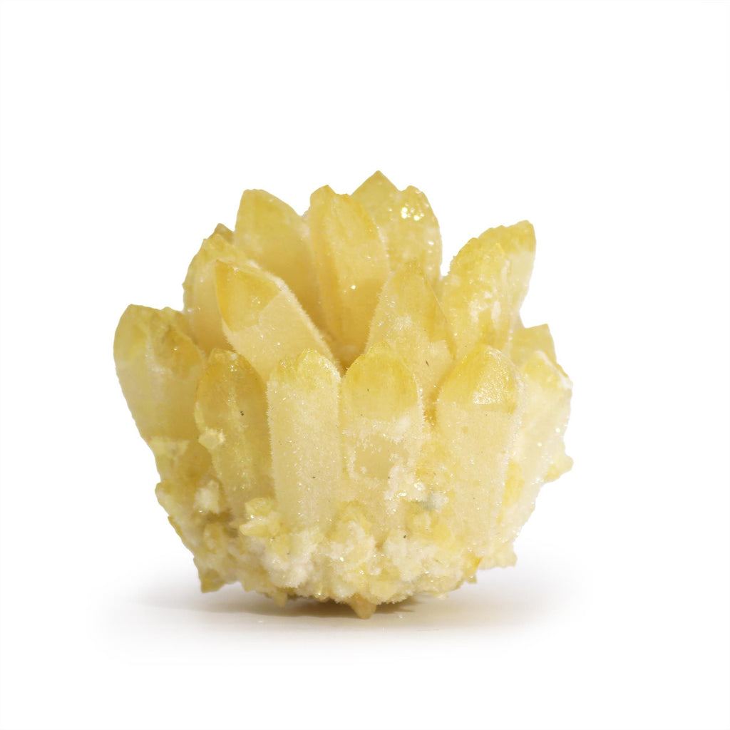 Yellow flower-like object on a white background