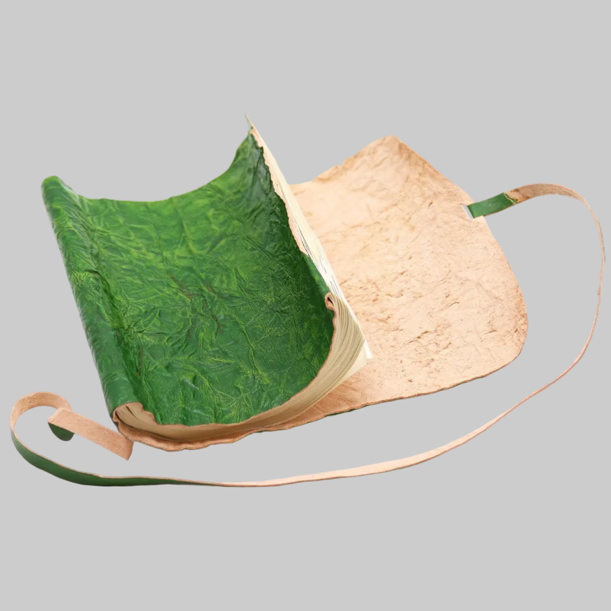 Book with green textured pages and beige cover on a white background