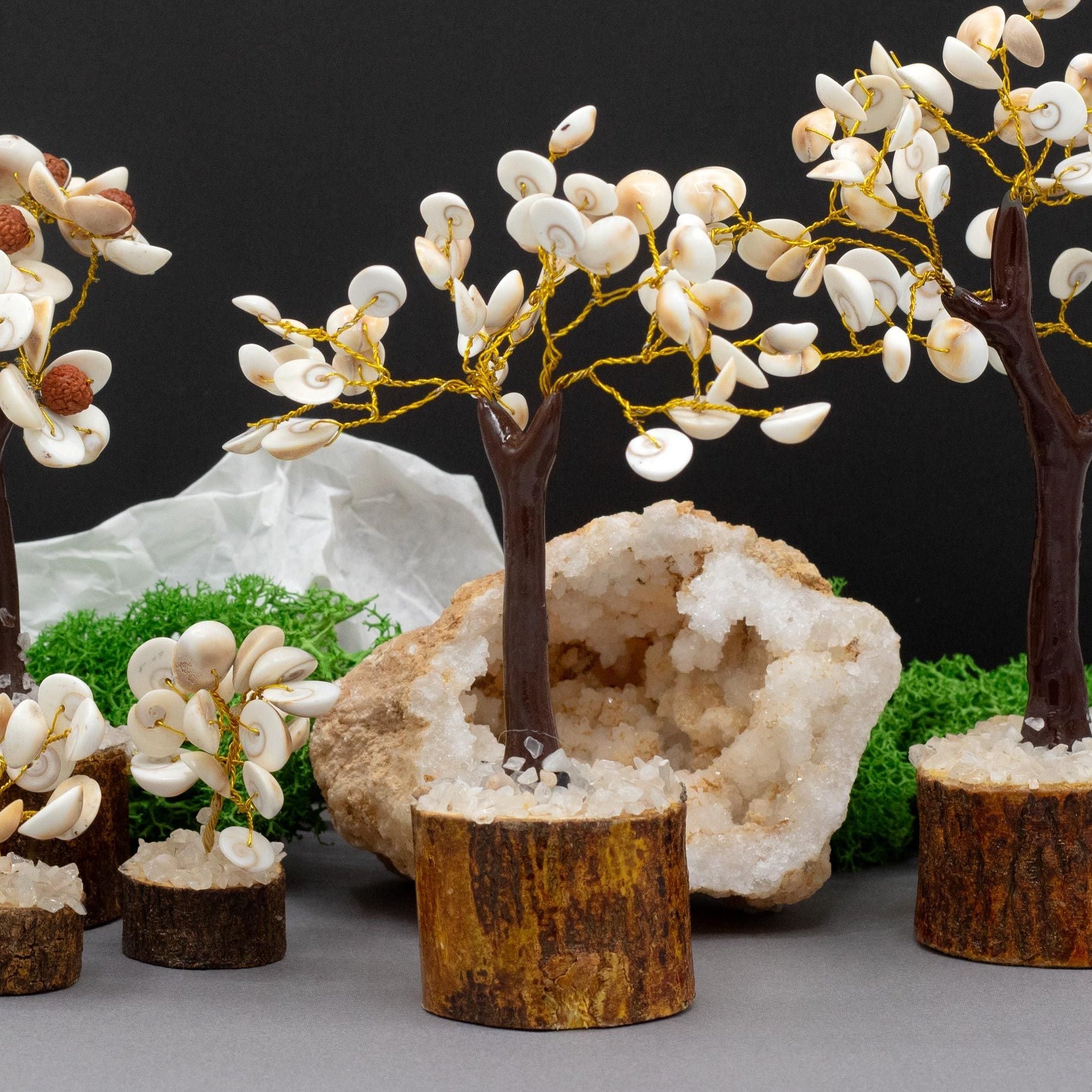 Decorative trees with white flowers and brown trunks on a gray surface with a black background