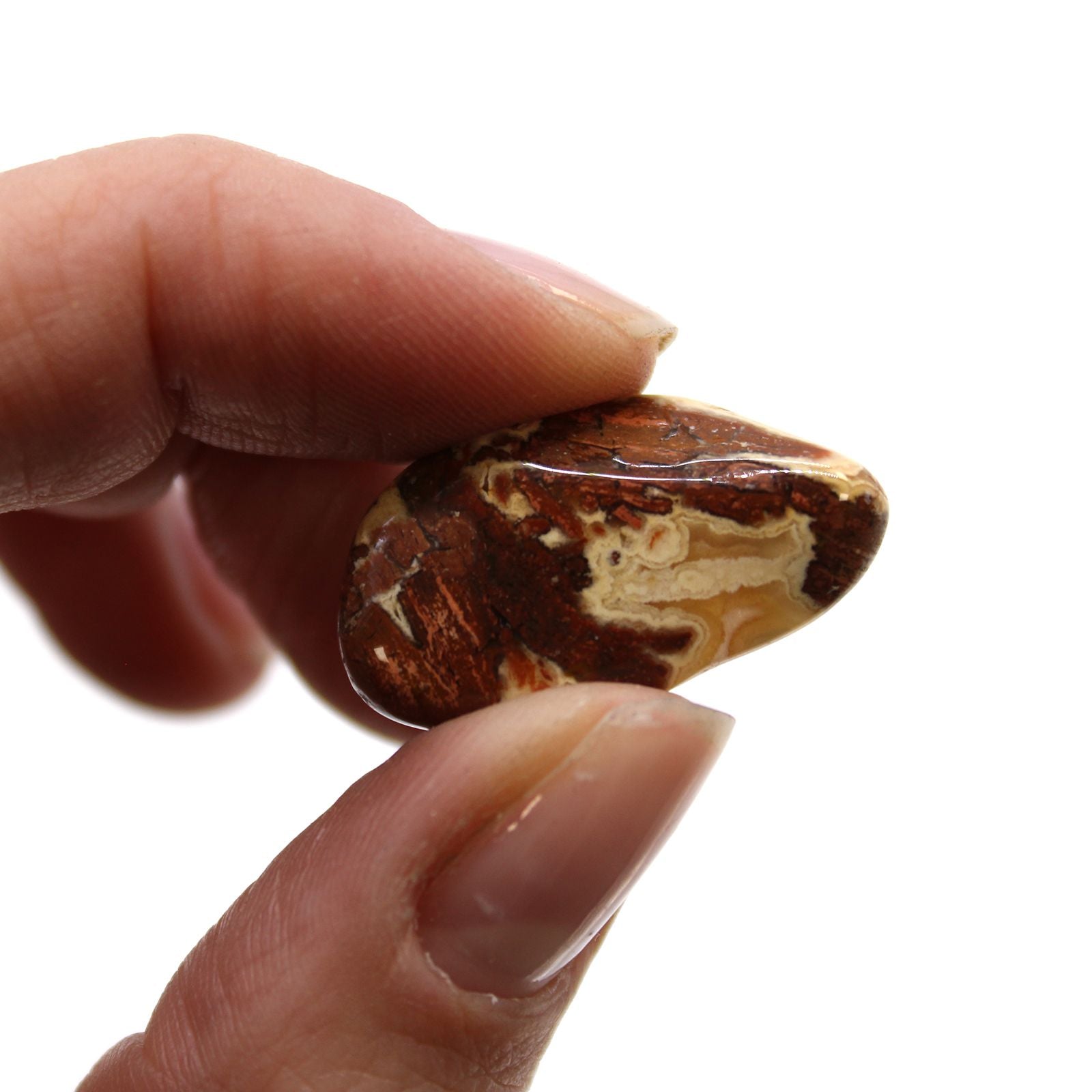 Hand holding a polished brown stone against a white background