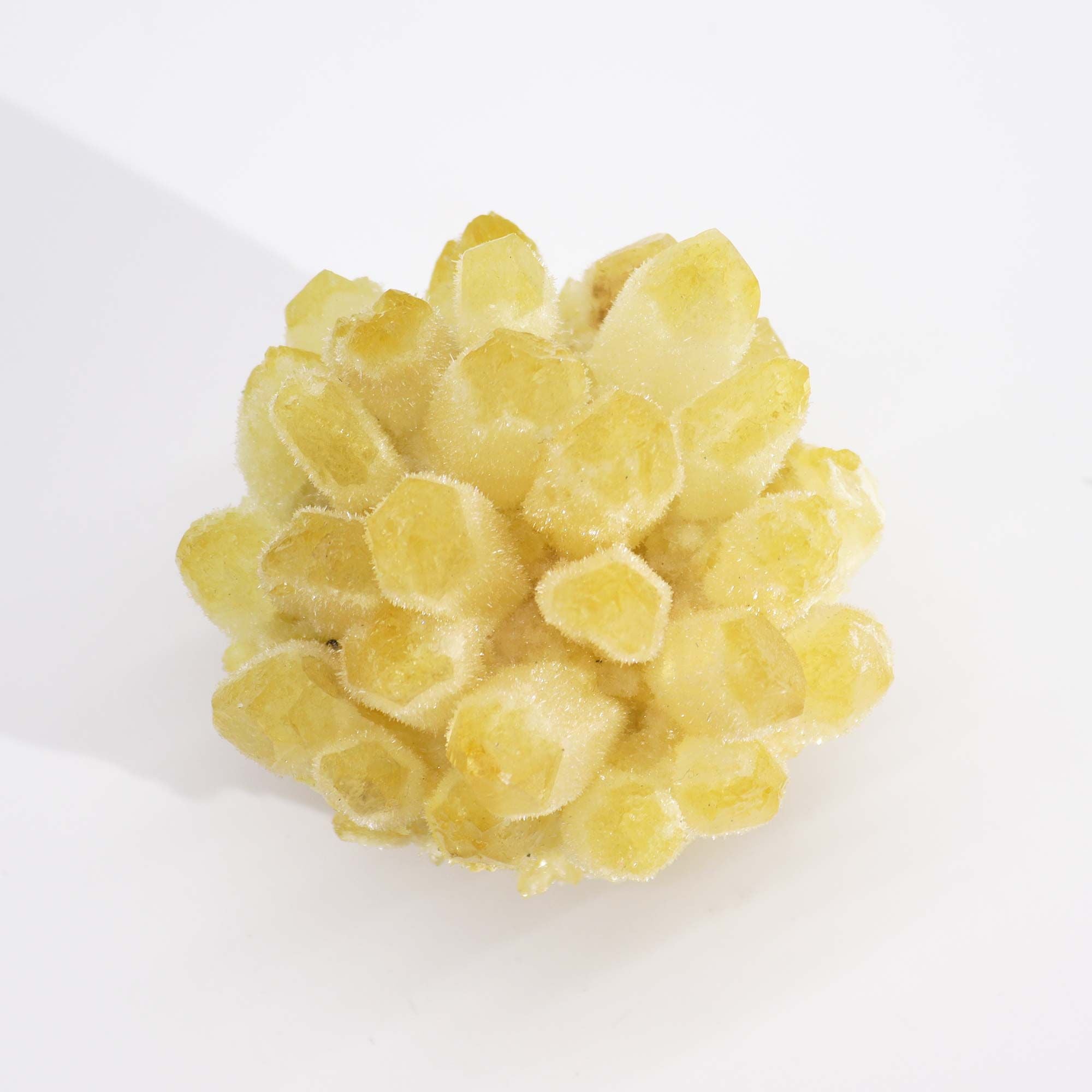 Yellow fruit-like object on a white background