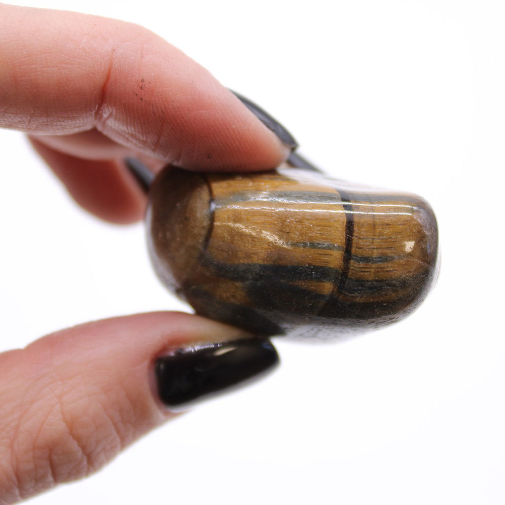 Hand holding a tiger's eye crystal against a white background