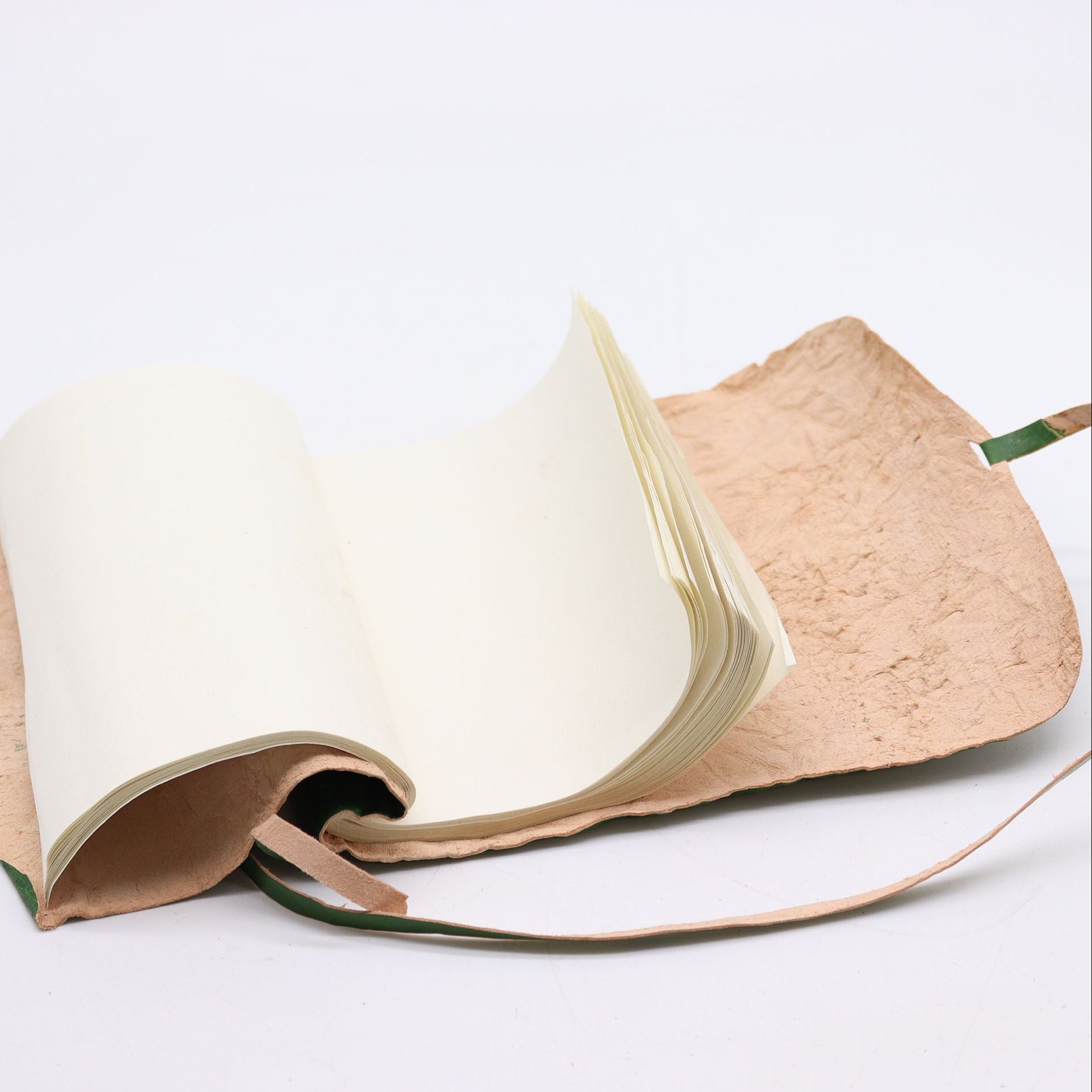 Open book with cork cover on a white background