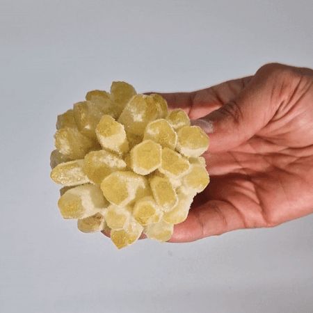 Hand holding a piece of yellow candy with a gray background