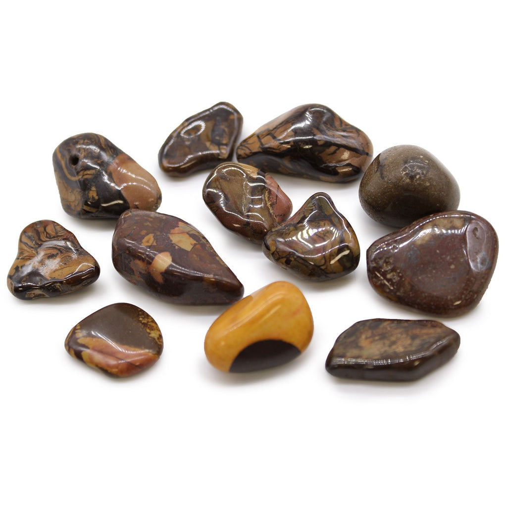 Collection of polished brown stones on a white background
