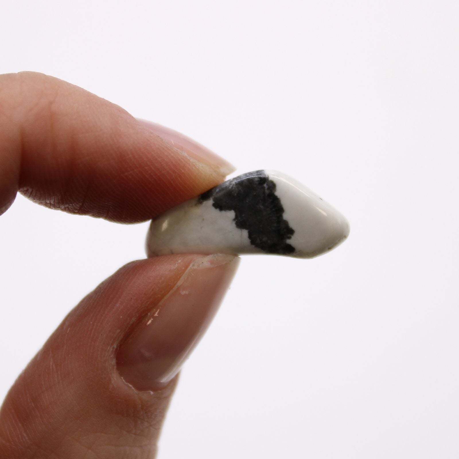 Hand holding a small white object with black markings against a white background
