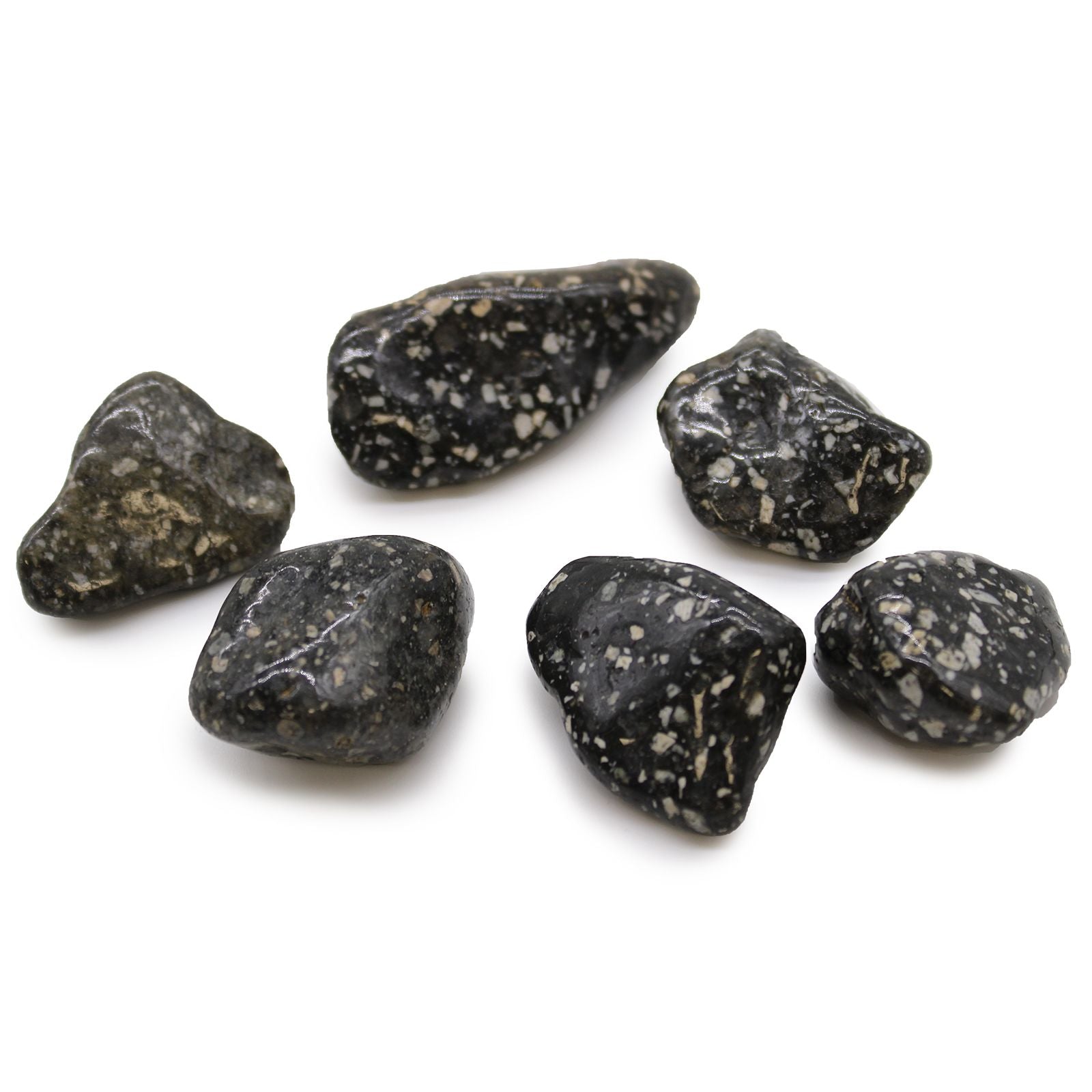 Six dark-colored stones with speckled patterns on a white background