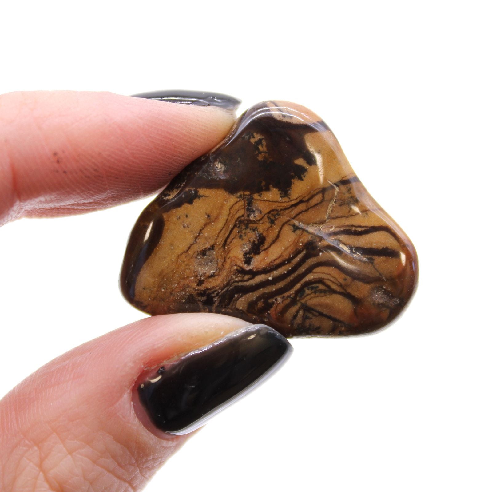 Hand holding a brown and black patterned stone against a white background