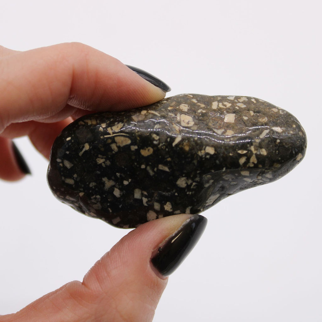 Hand holding a speckled stone against a white background