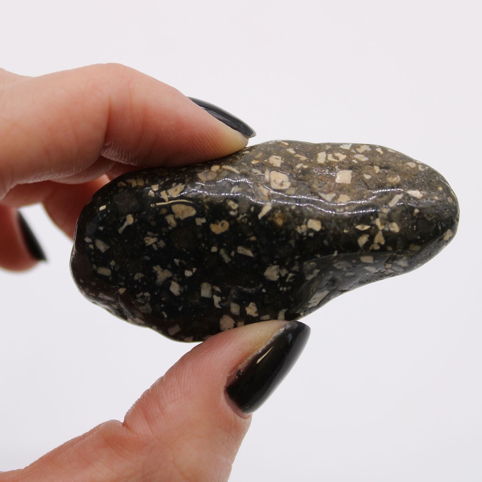 Hand holding a speckled stone against a white background