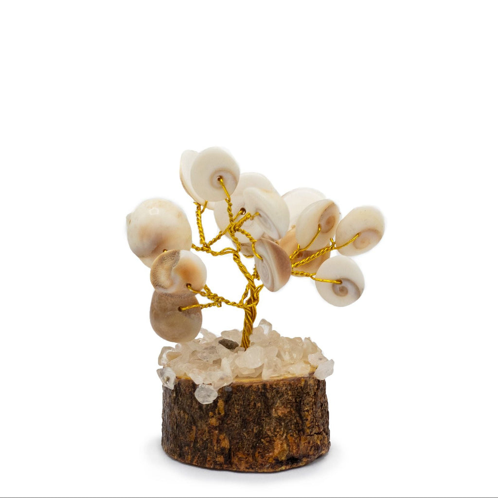 Decorative piece with shells and gold elements on a white background