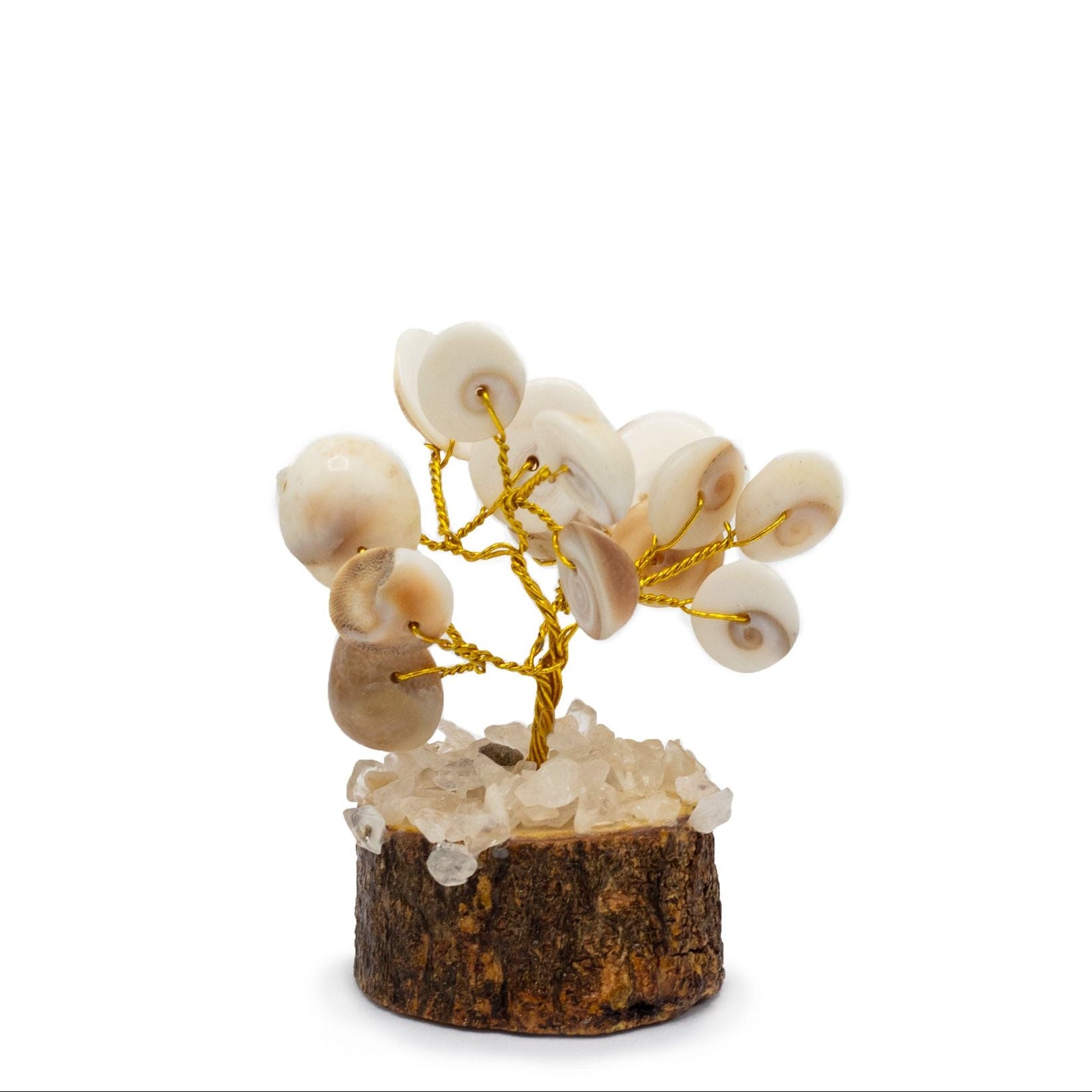 Decorative piece with shells and gold elements on a white background