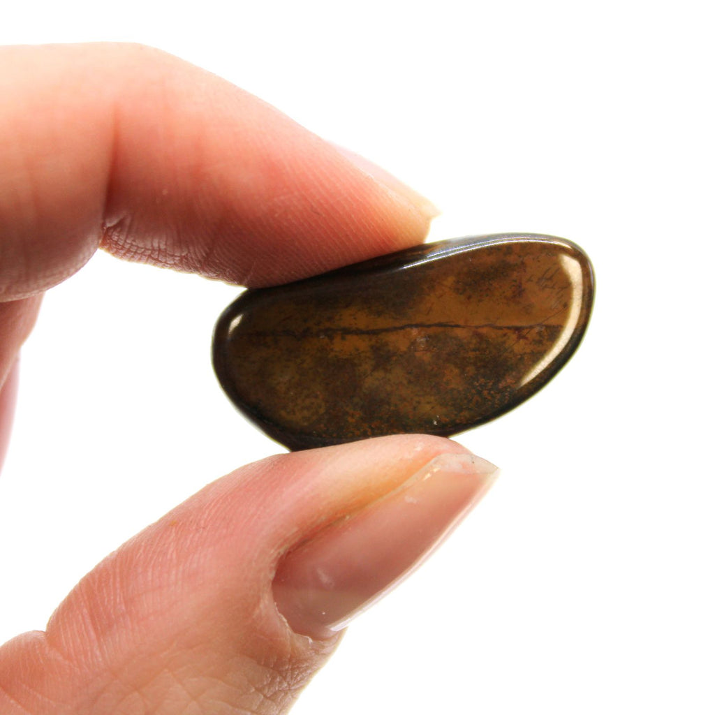 Hand holding a small brown stone against a white background