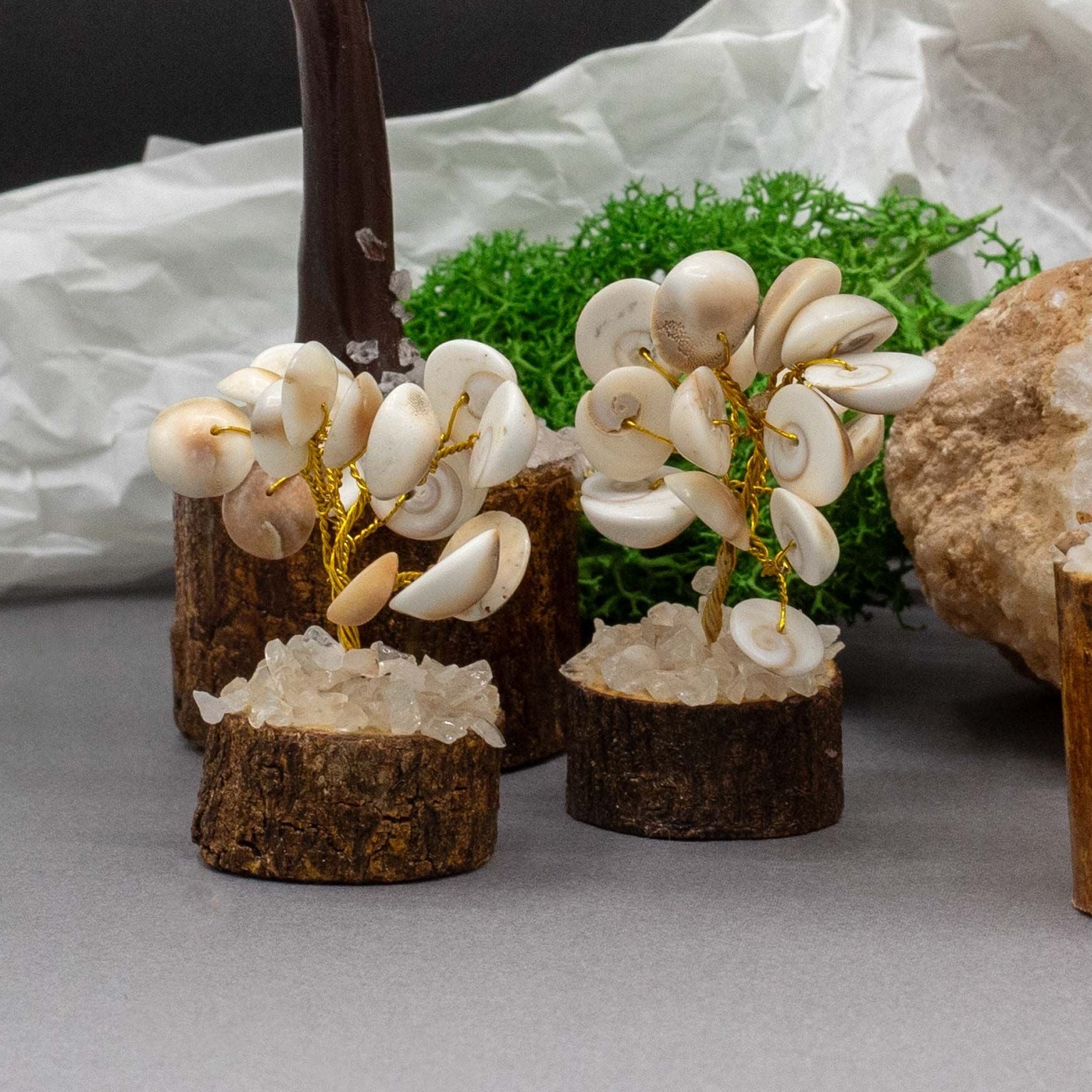Decorative miniature trees with white flowers on wooden bases, surrounded by green moss and a large crystal.