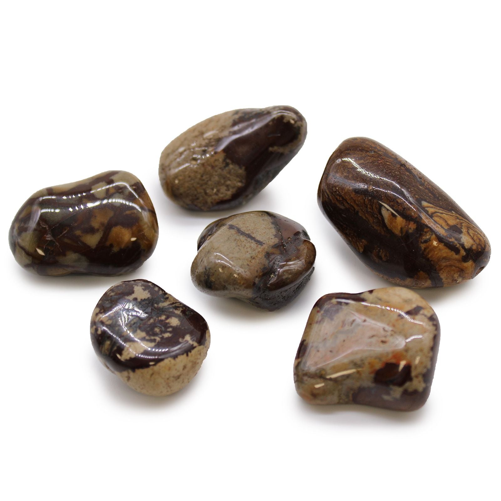 Set of six polished stones on a white background