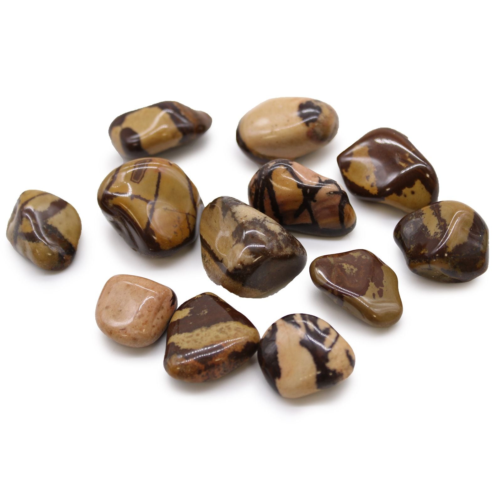 Collection of brown and beige marbled stones on a white background