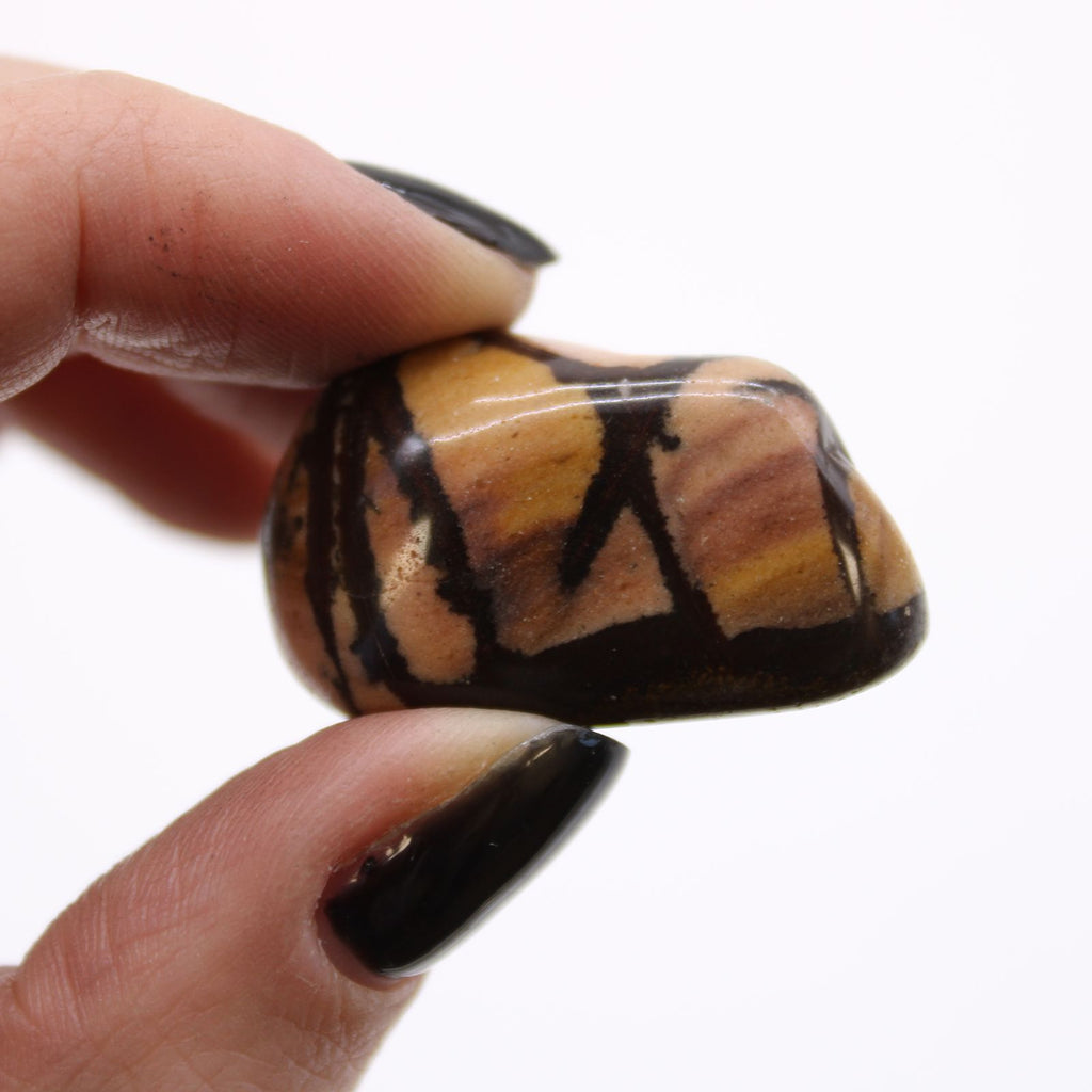 Hand holding a tiger eye stone with a white background
