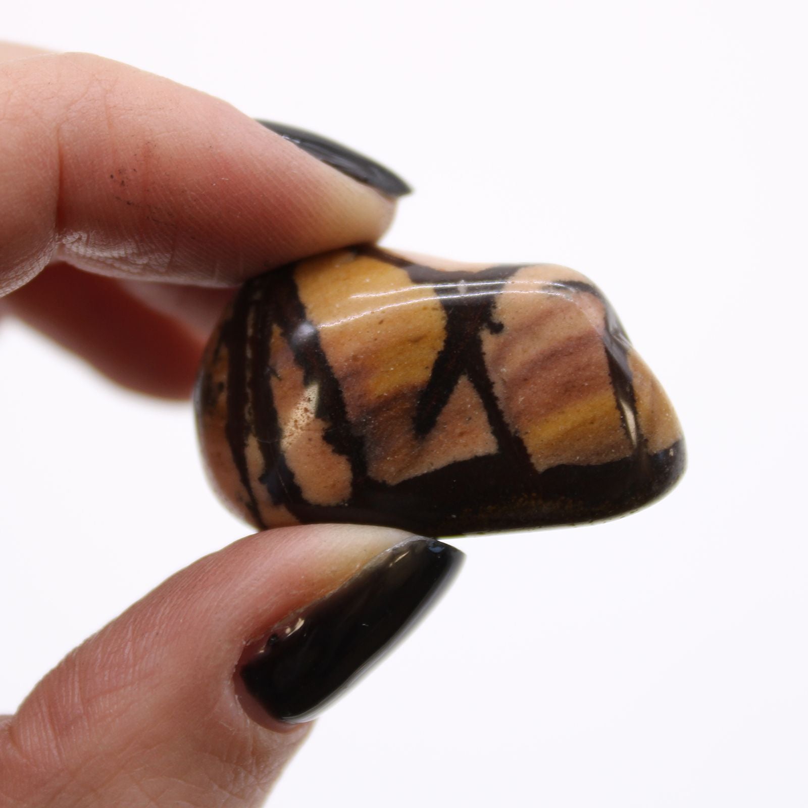 Hand holding a tiger eye stone with a white background
