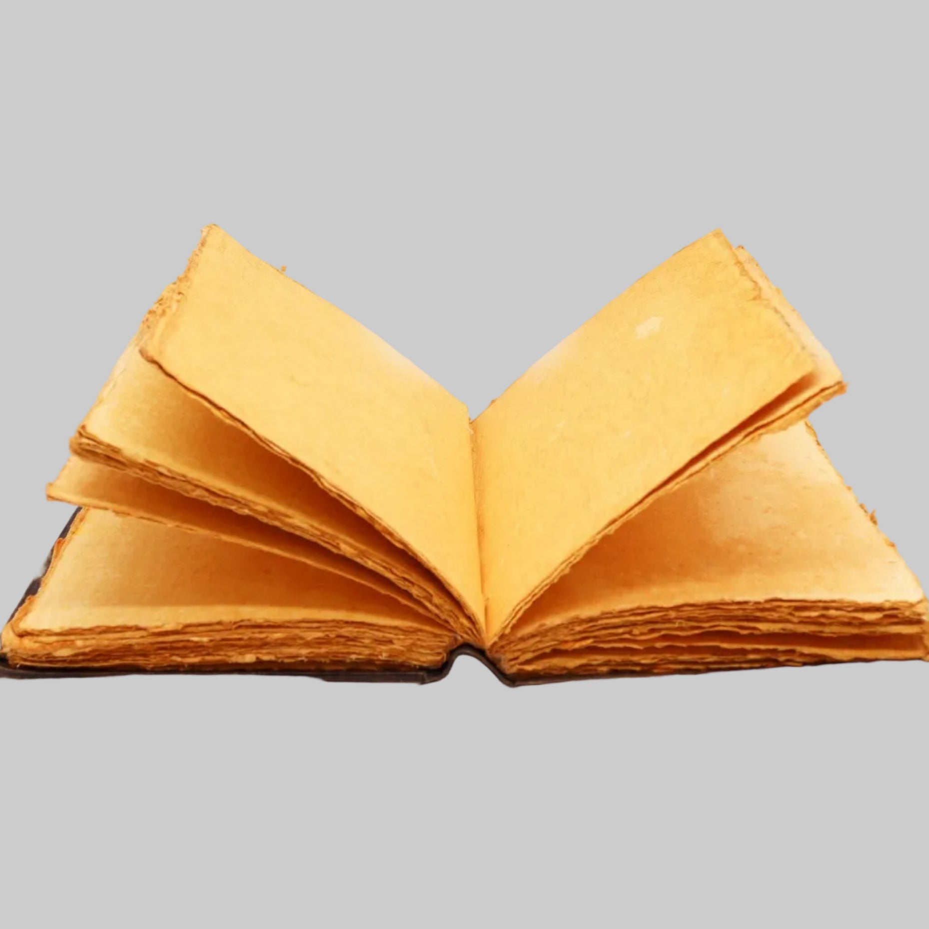 Open book with yellow pages on a white background