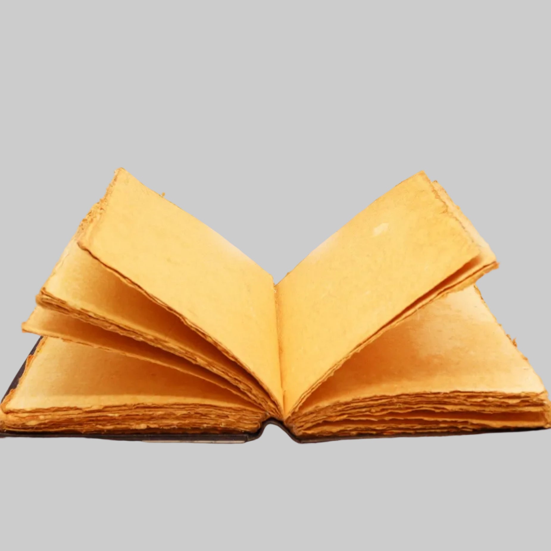 Open book with yellow pages on a white background