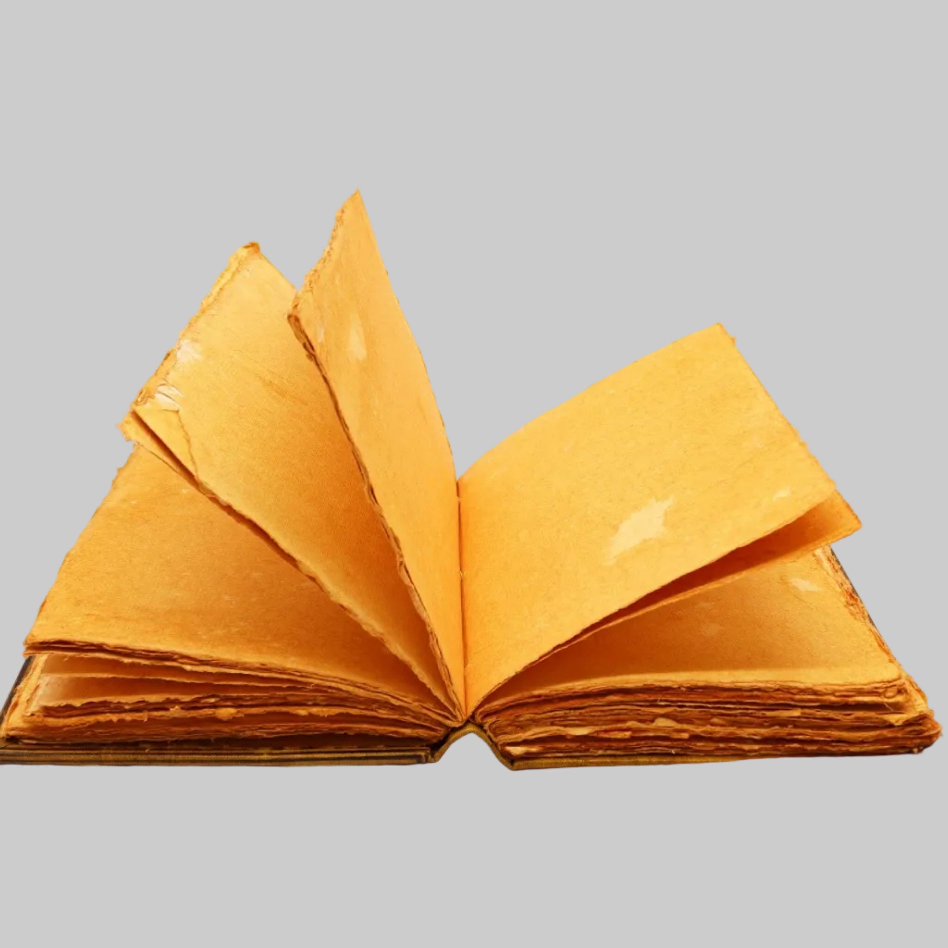 Open book with yellow pages on a white background