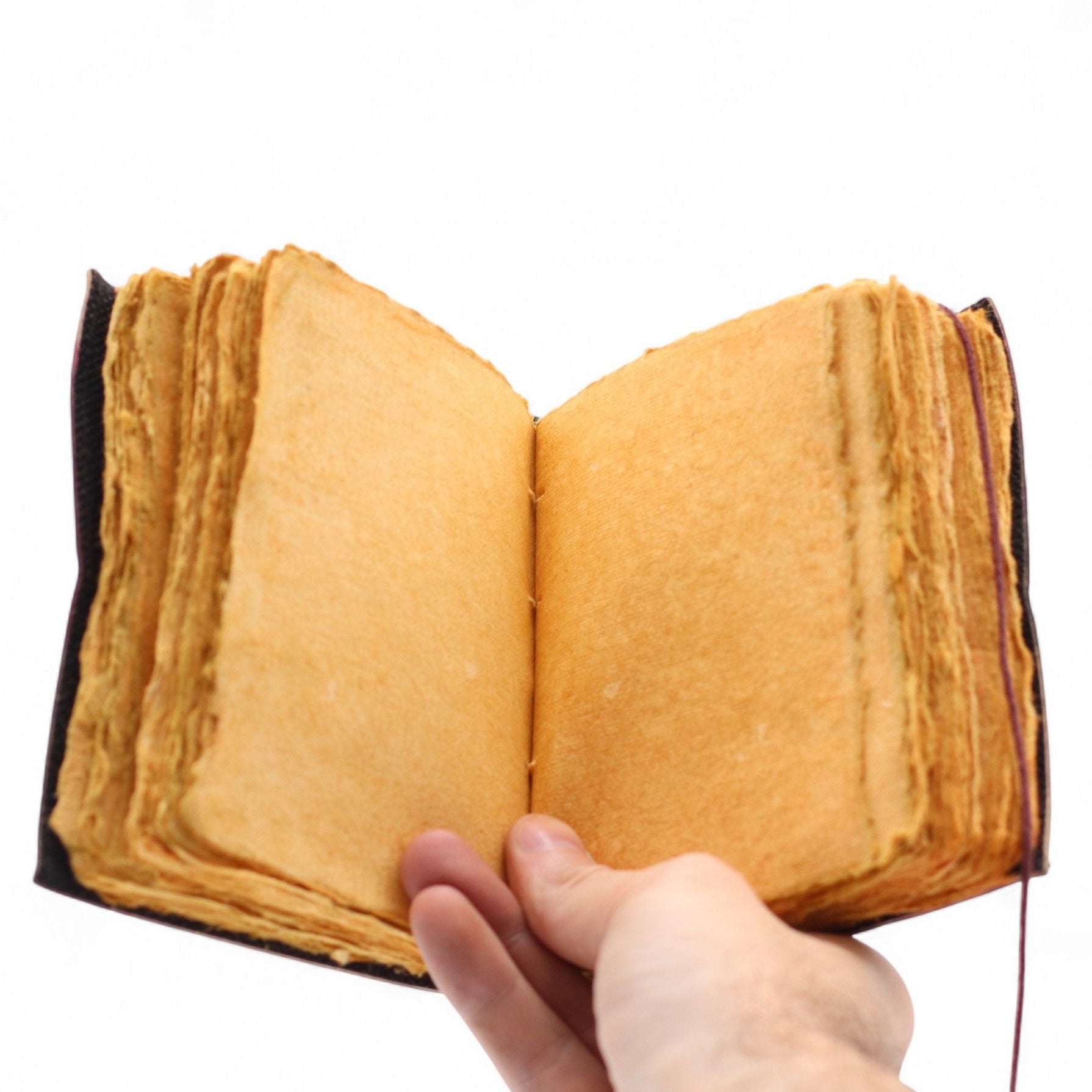 Hand holding an open, vintage-style book with a white background