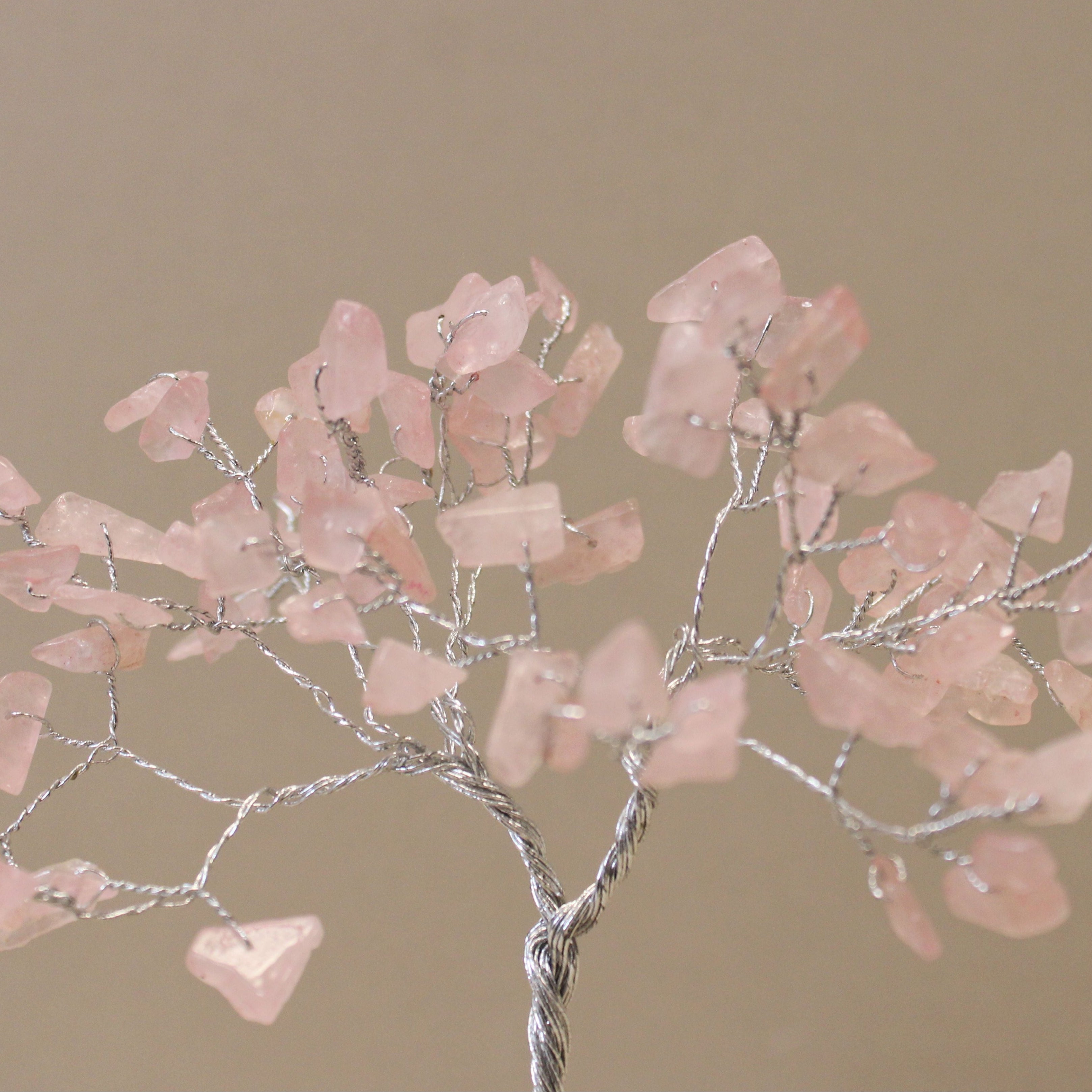 Decorative branch with pink stones on a beige background