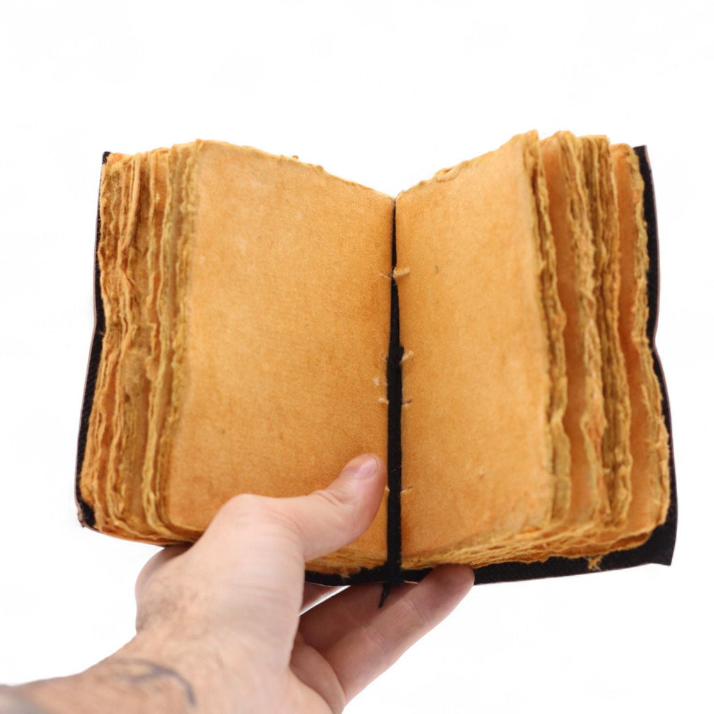 Hand holding a small, open book with yellowed pages against a white background