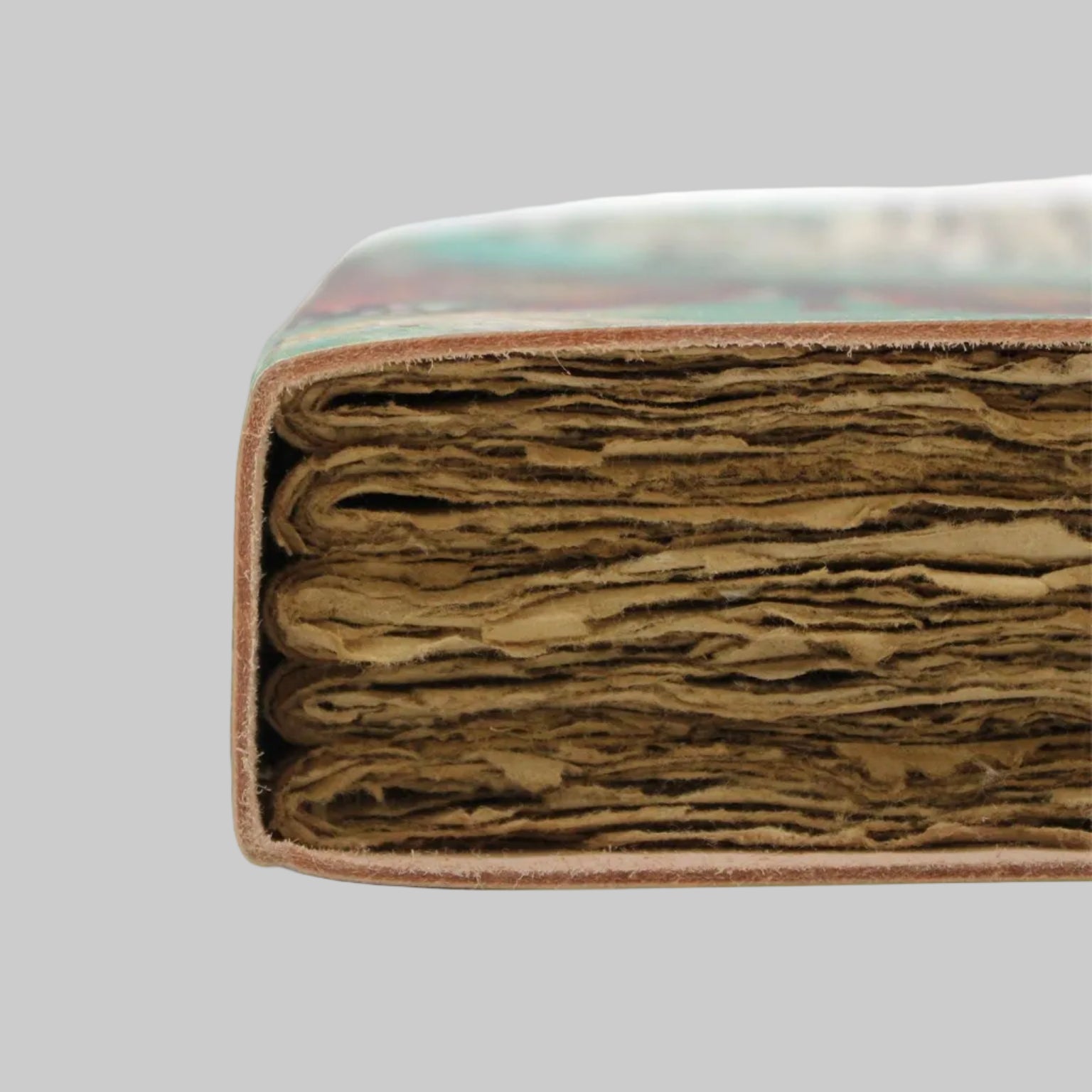 Close-up of a book with a multicolored cover and brown pages on a white background